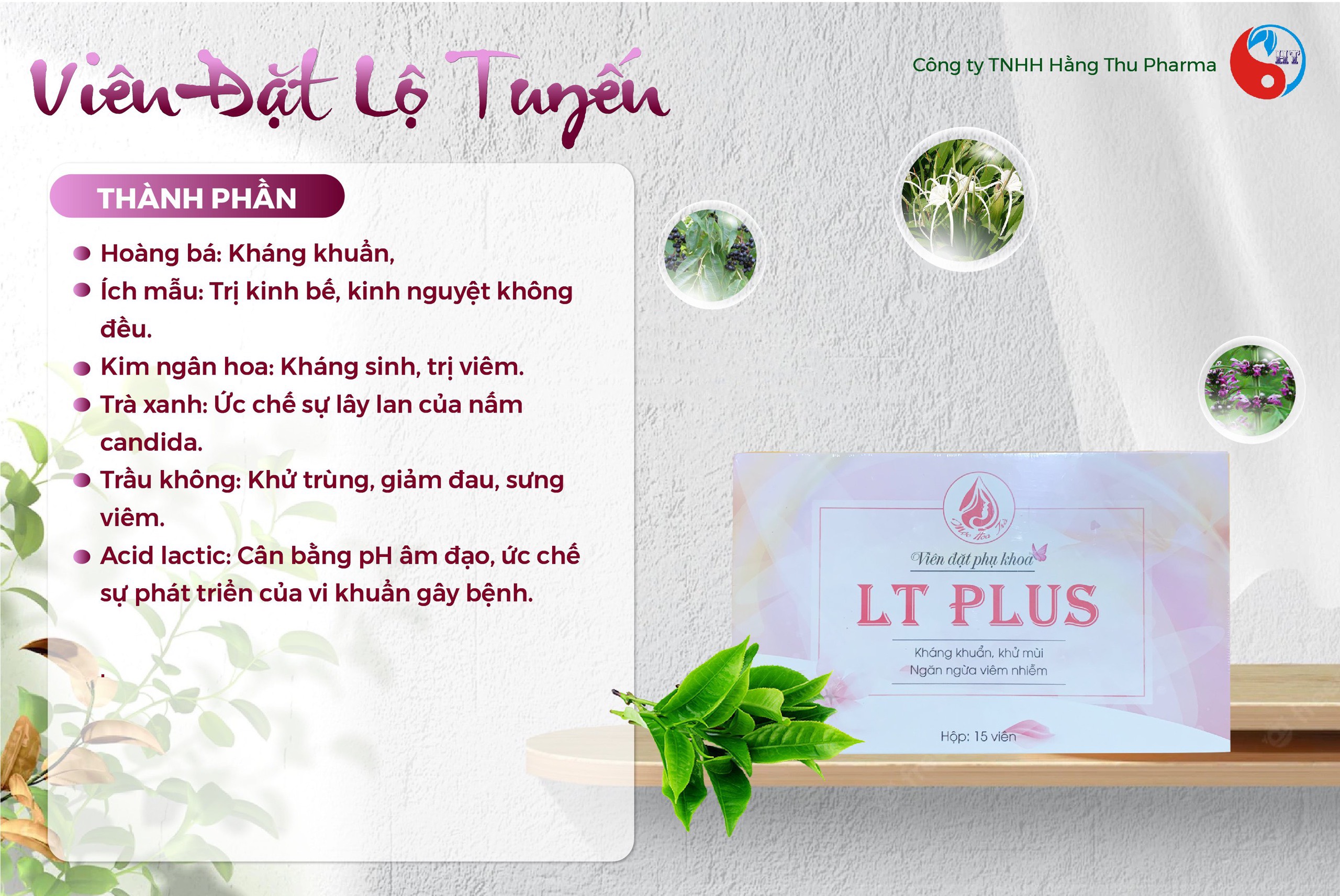 Viên LT Plus Hằng Thu Chính Hãng