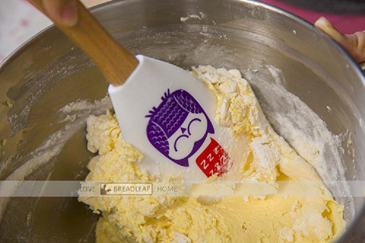 VÉT BỘT, KEM SILICON CÁN GỖ HÌNH THÚ BREADLEAF 32CM
