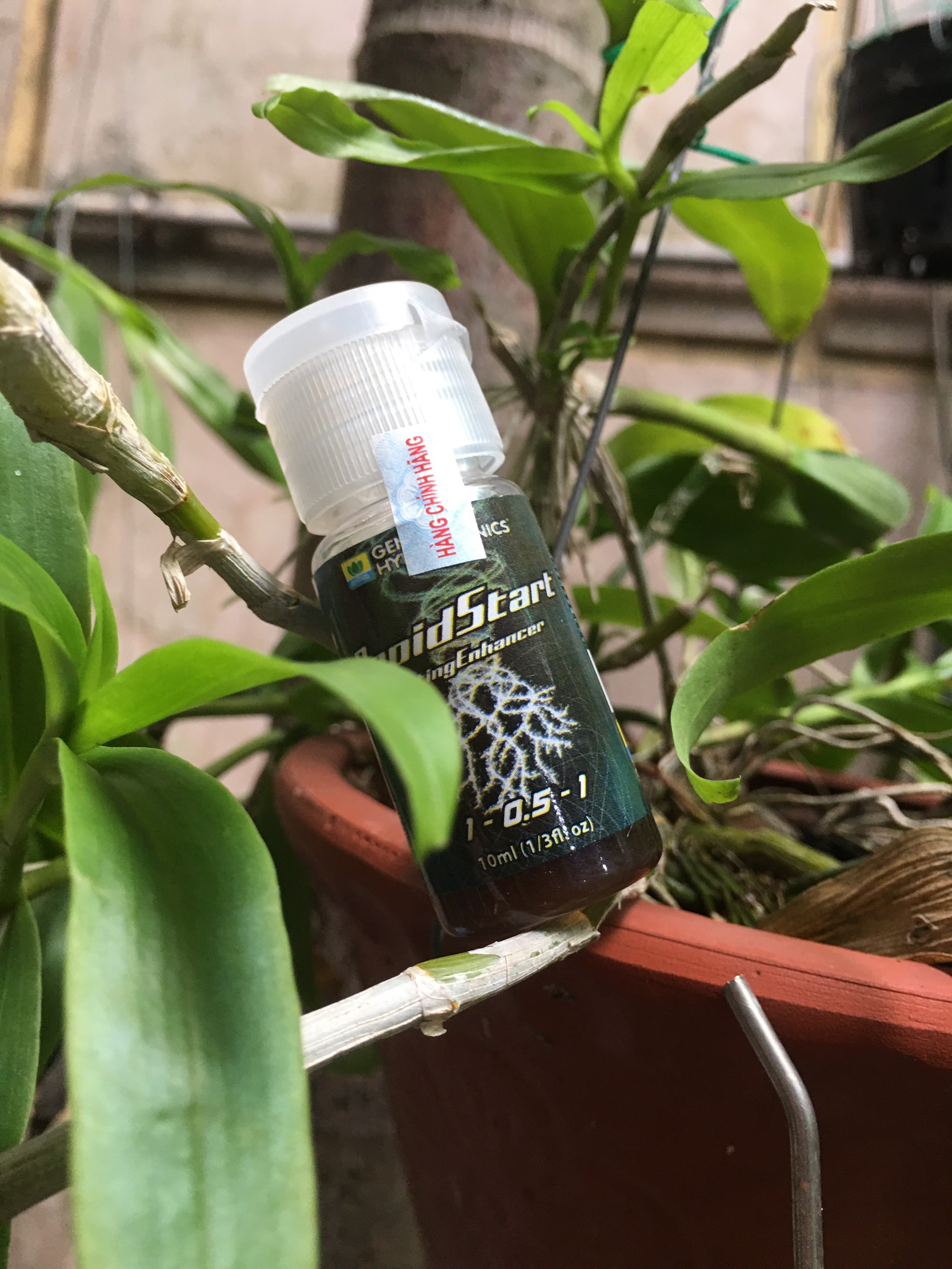 Siêu kích rễ General Hydroponics Rapid Start Mỹ lọ 30ml