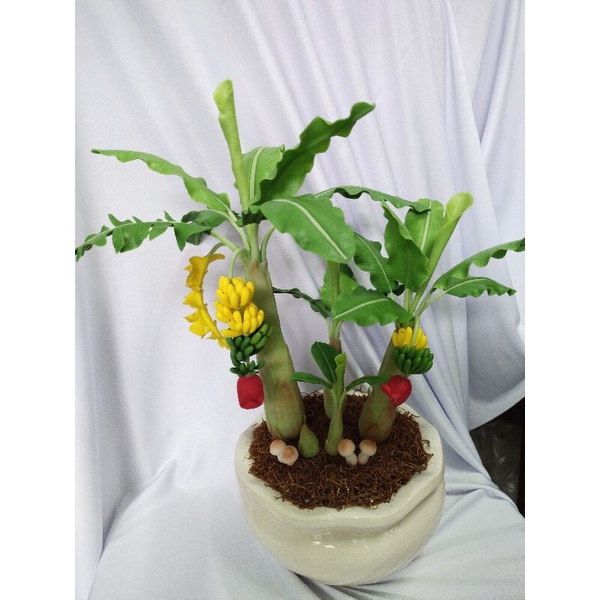 Chậu chuối đất sét 2 buồng