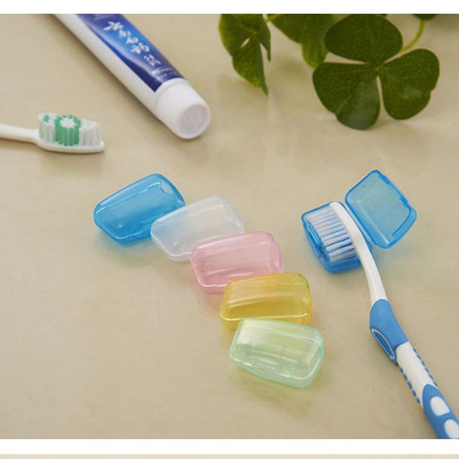 Combo 3 nắp đậy bàn chải đánh răng, hộp bọc đầu bảo vệ bàn chải mang đi du lịch siêu tiện lợi