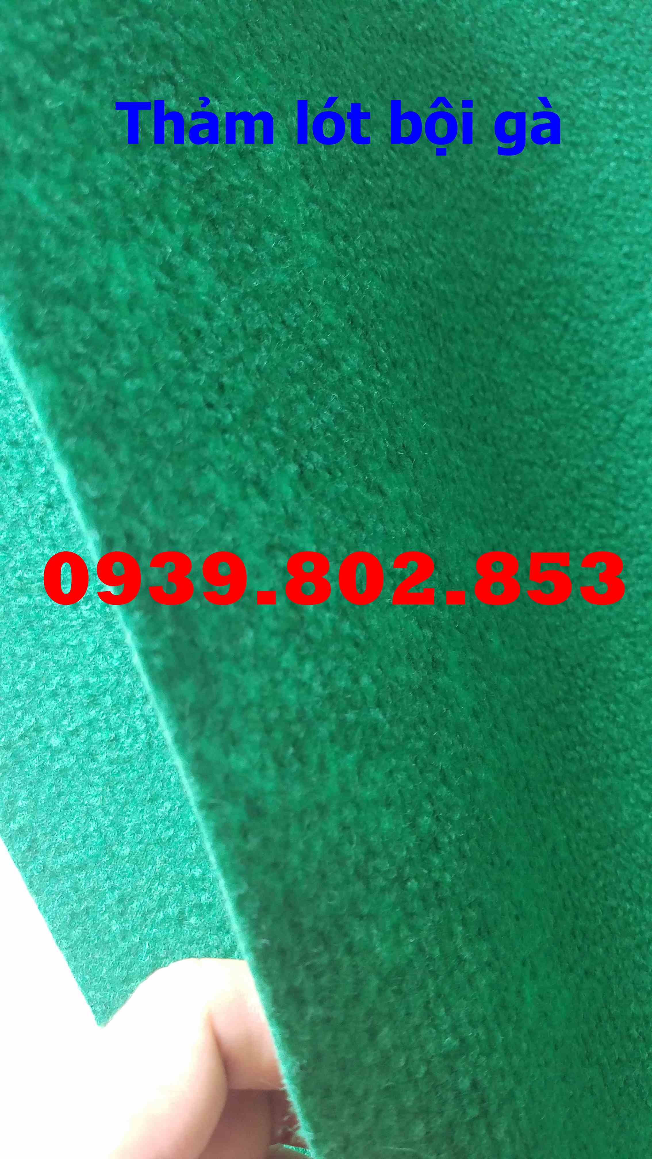 Combo 10 Thảm lót bội gà 1m vuông