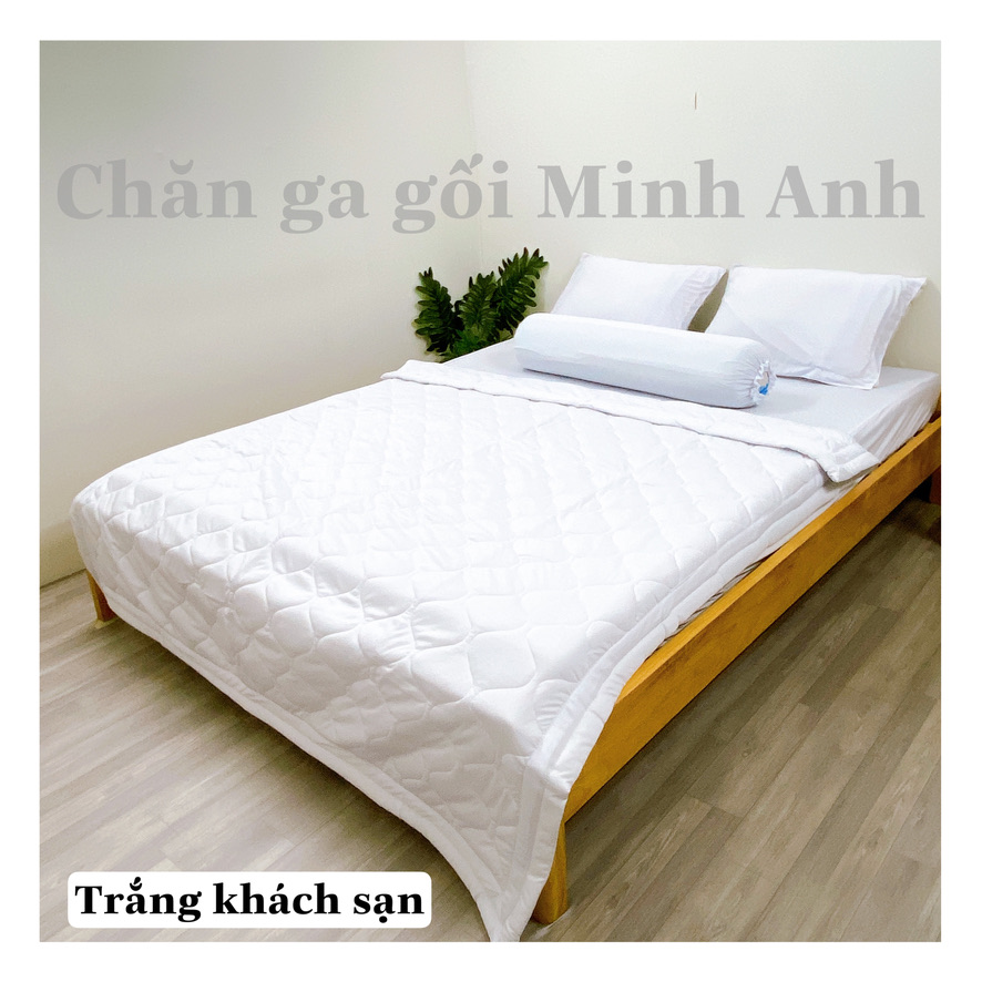 Tấm drap thun trơn . Lamabedding - Chăn ga gối Minh Anh -Drap Minh Anh chuyên sỉ - Minh Anh Bedding.