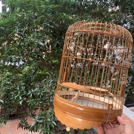 Lồng khuyên xử lý size 22 x 30cm LC29