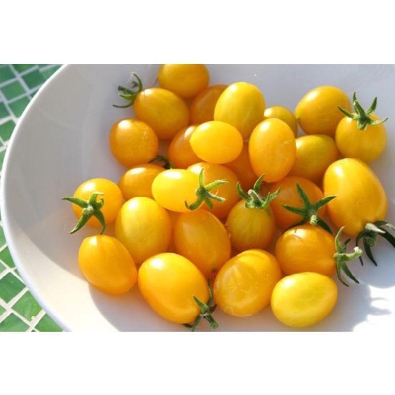 Hạt Giống Cà Chua Cherry Đỏ, cherry vàng, đóng gói 0.5gr