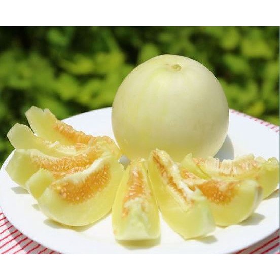 [SALE] Hạt giống Dưa Lê TN - 75 - HGVT1