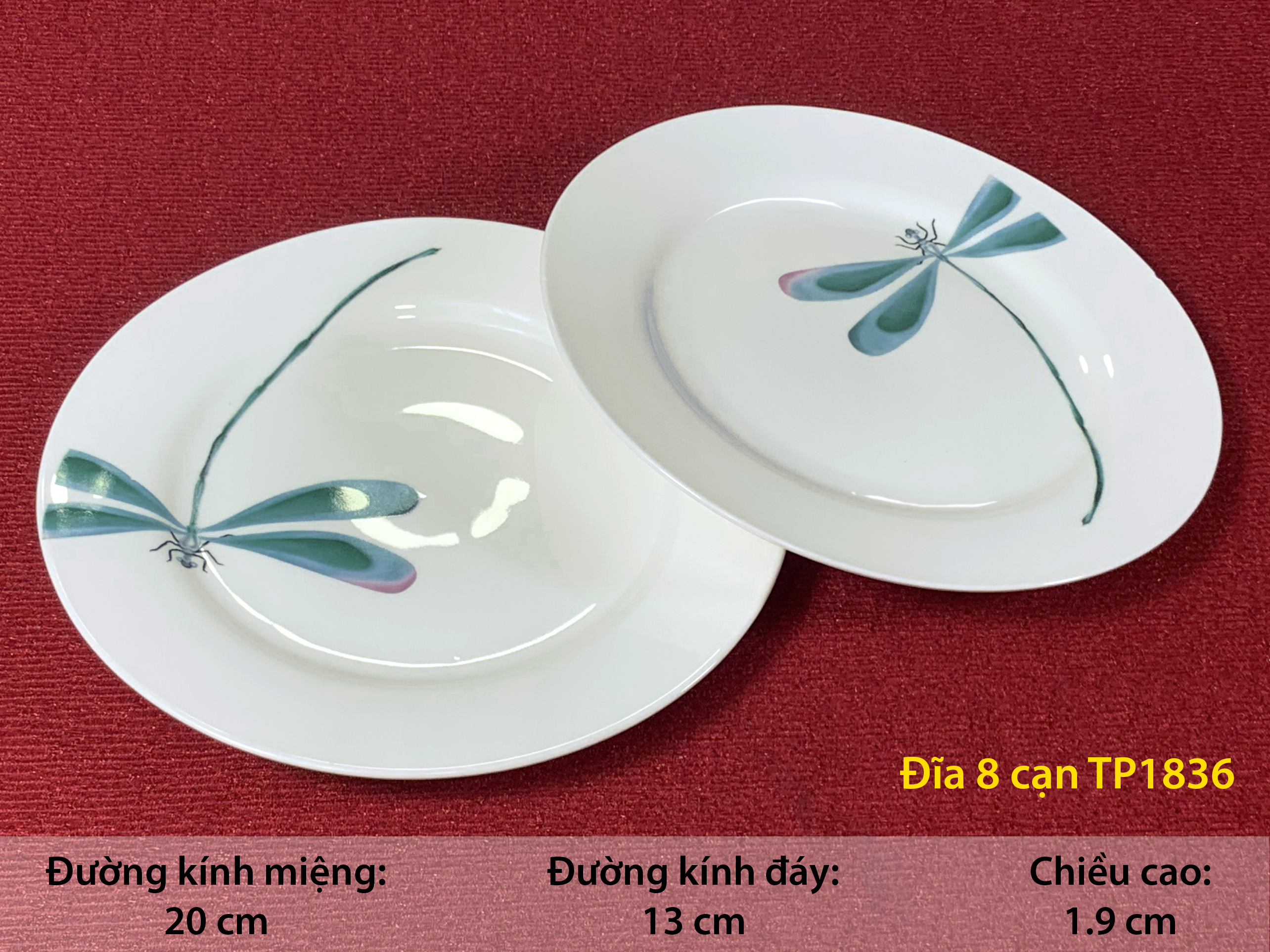 ĐĨA 8 CẠN TP 1836 SỨ BÁT BẢO CAO CẤP, sINCE_1977