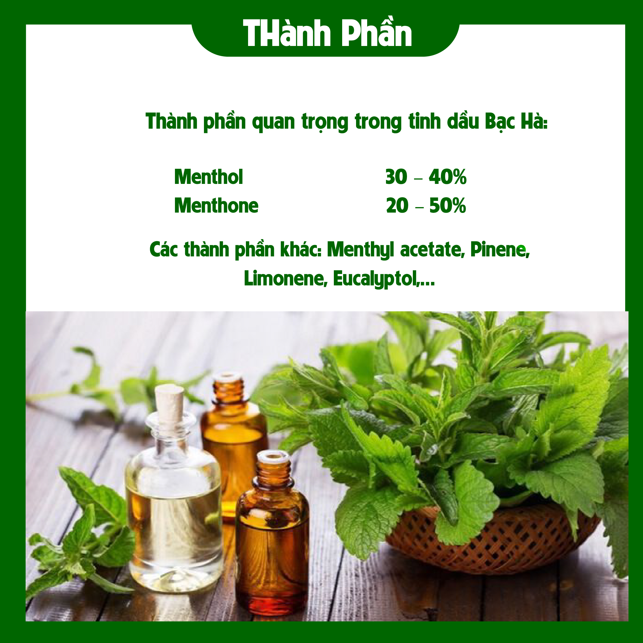 Tinh Dầu Treo Bạc Hà 8ml - Treo Thơm Phòng, Xe