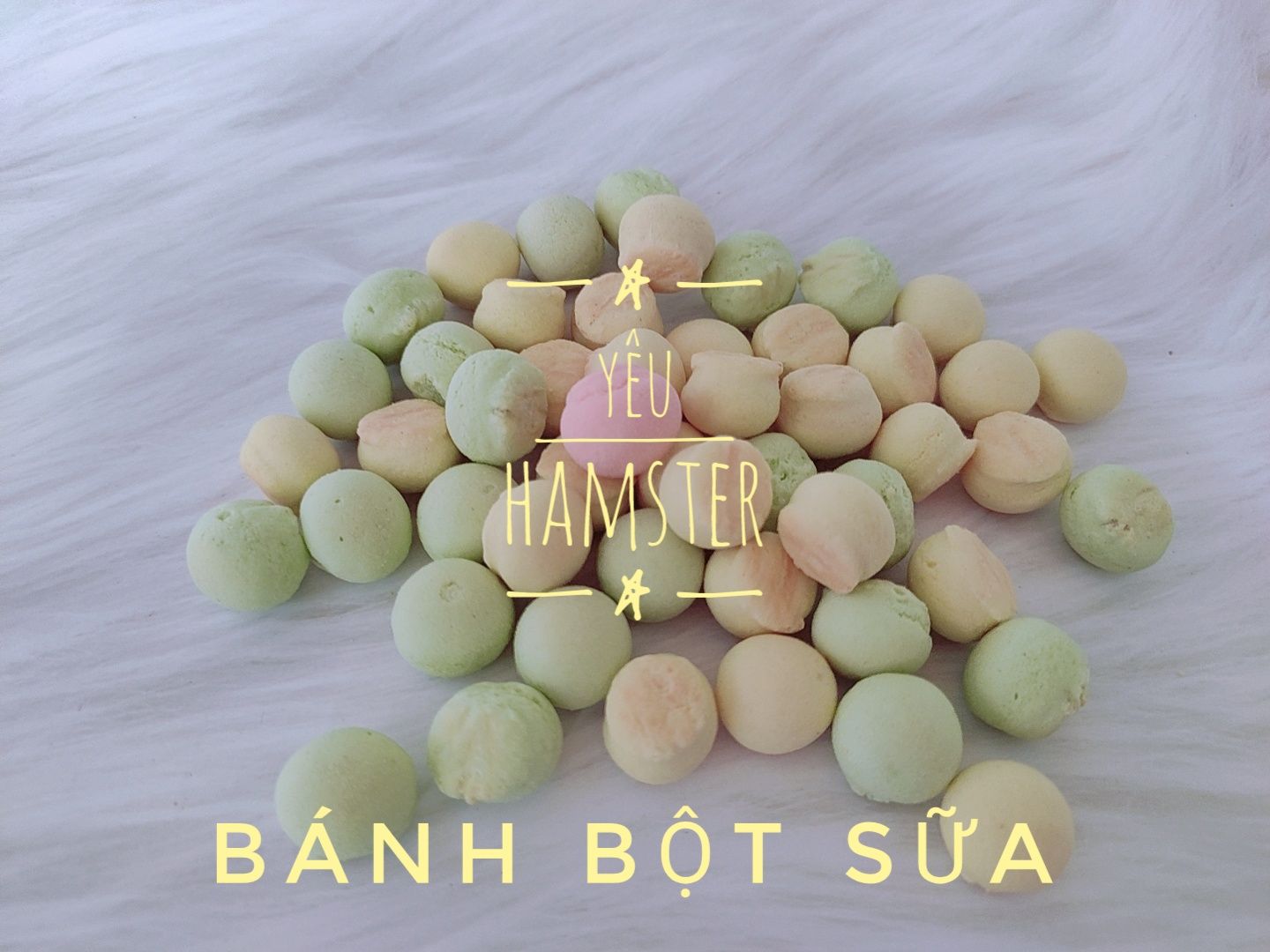 Bánh bột sữa- Thức ăn cho hamster, ăn dặm hamster, thú cưng