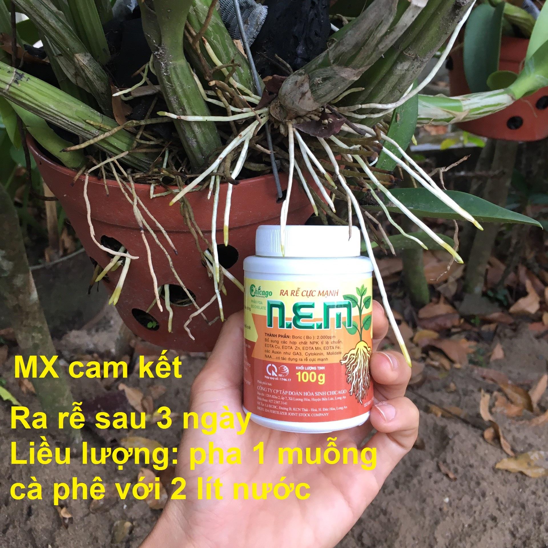 Phân Bón Lá Ra Rễ Cực Mạnh 100g