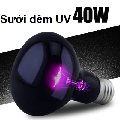 Đèn UVA sưởi đêm cho bò sát thương hiệu nomoy