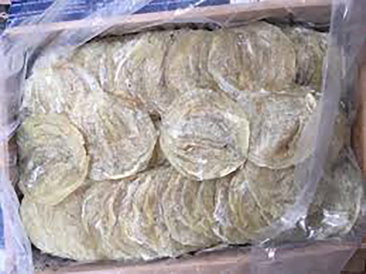 [HCM]CÁ BÒ KHÔ ĐẶC SẢN VŨNG TÀU(500G/TÚI)[ GIAO HÀNG NHANH 4h HCM]