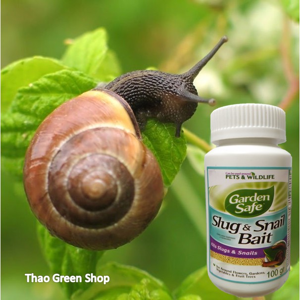 BẢ ỐC  SLUG & SNAIL BAIT 100G