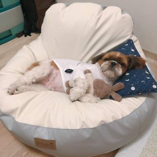 NIỆM NGỦ CHO THÚ CƯNG - Bean bags M & L