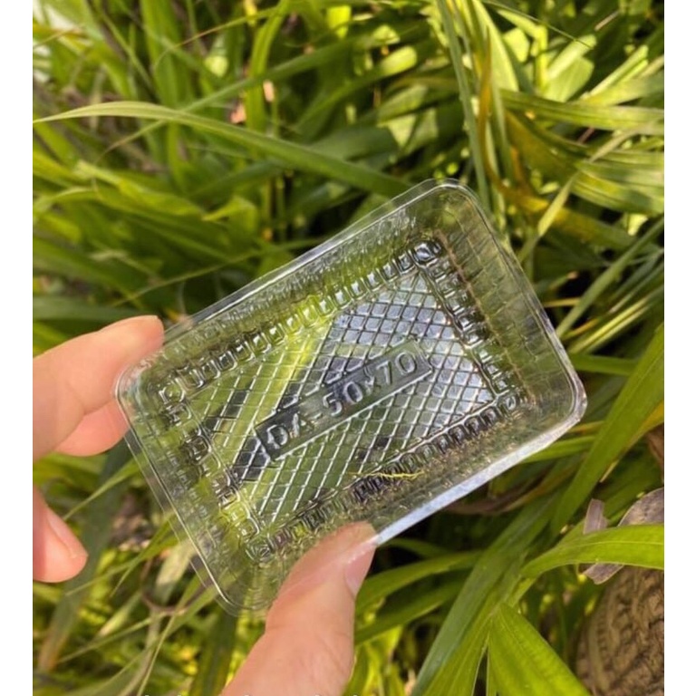 Khay Nhựa Đựng Bánh Dứa