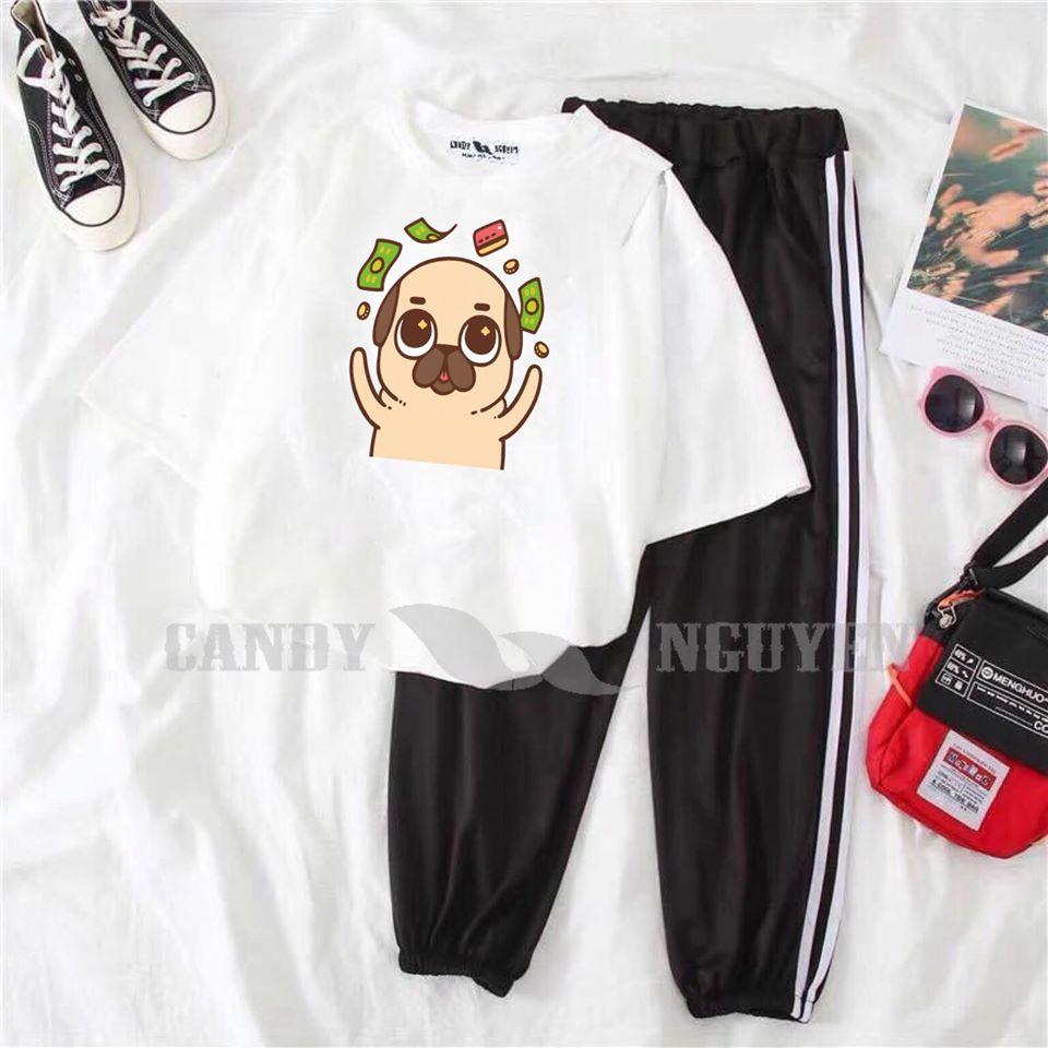 [PHÁ CÁCH 12] Mix Phối Sét Bộ Quần Áo Nữ Xinh Cute Mặc Đi Chơi Dạo Phố, Chất Liệu Áo Cotton Organic Ngắn Tay Cổ Tròn In Bốn Thú Friends Kèm Quần Thun Bo Chun Gấu Co Giãn Nhẹ Phong Cách Thời Trang Trẻ Hàn Quốc