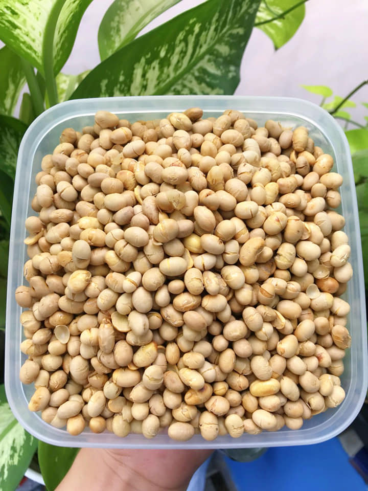 Đậu nành sấy ( bổ dưỡng sức khỏe ) 100G