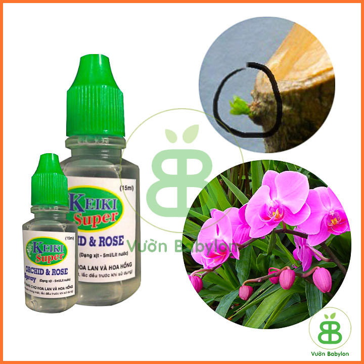 Kích Mầm Hoa Lan Keiki Duy Spray