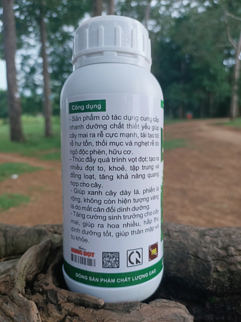 SIÊU BUNG ĐỌT RA RỄ - PHÂN BÓN CHUYÊN MAI VÀNG - 500ML