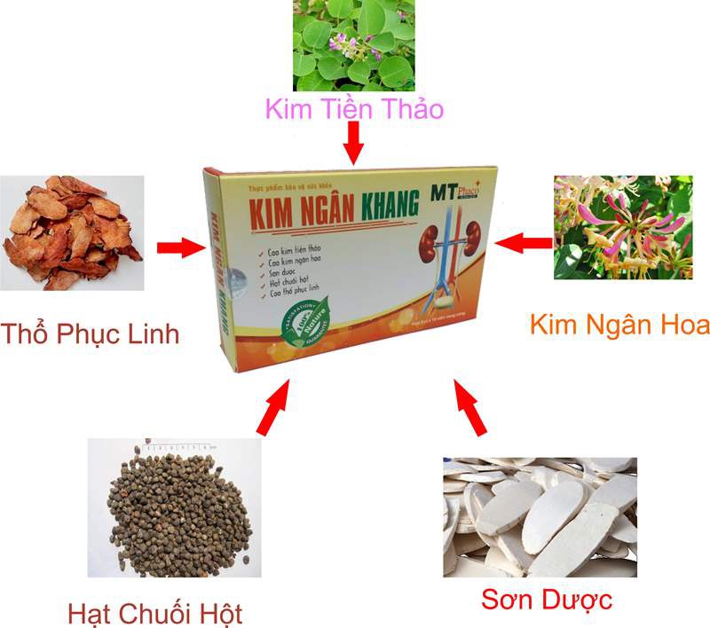 [COMBO 2 HỘP] KIM NGÂN KHANG - hỗ trợ thải độc, lợi tiểu