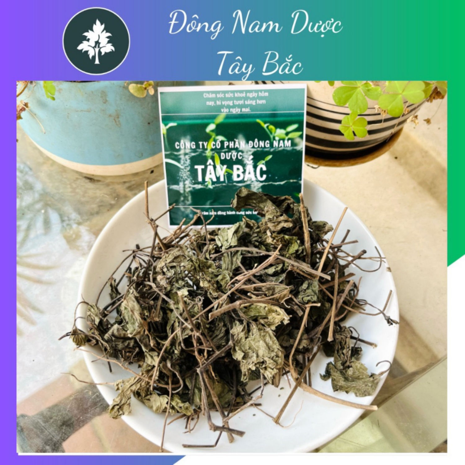 Lá lốt khô sạch 1kg - đông nam dượᴄ tây bắc