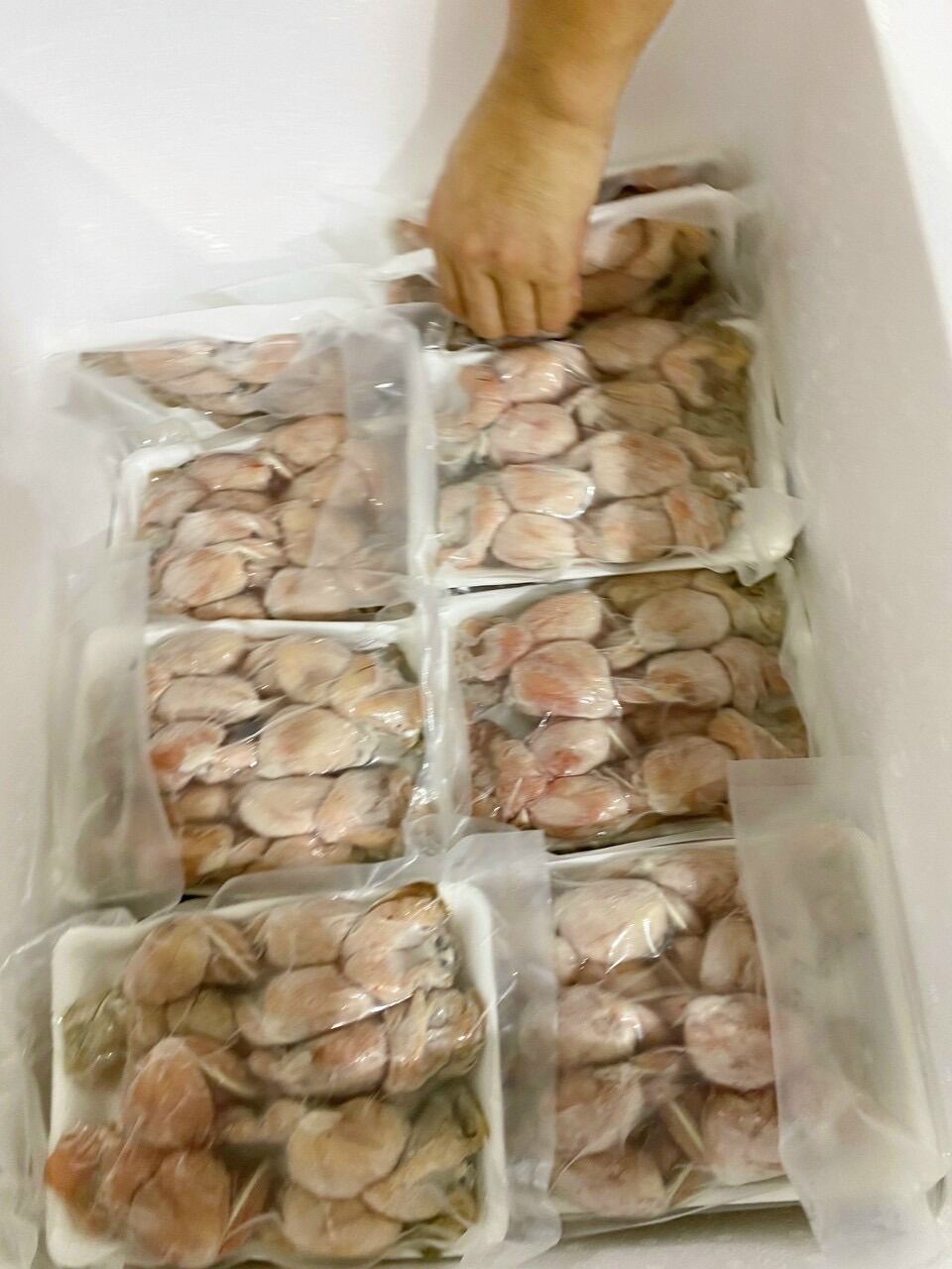 Đùi ếch vĩ 500g (giao tphcm 4h)