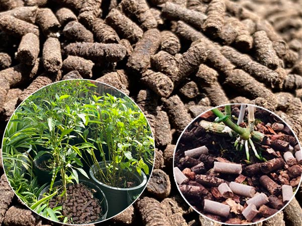 Phân trùn quế dạng viên nén 1kg -dùng bón cây