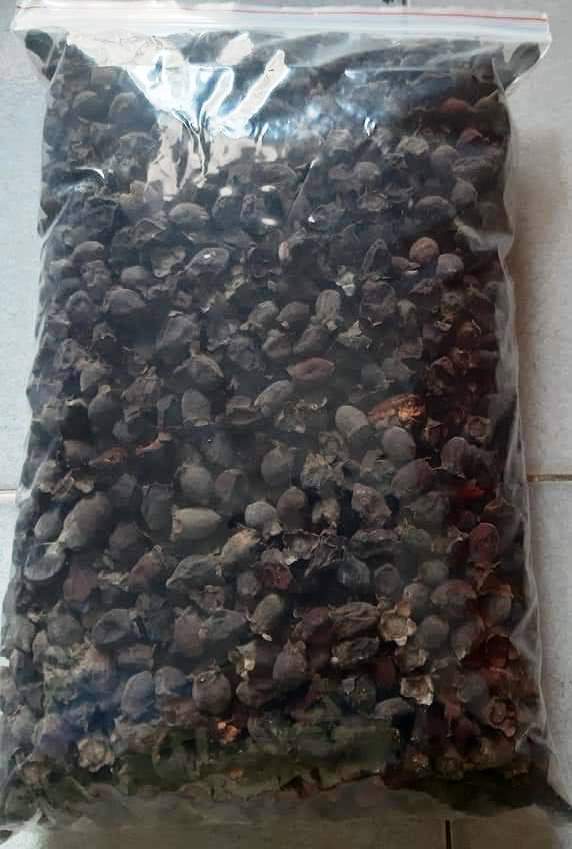 500gr Quả sim rừng khô hàng Kon Tum