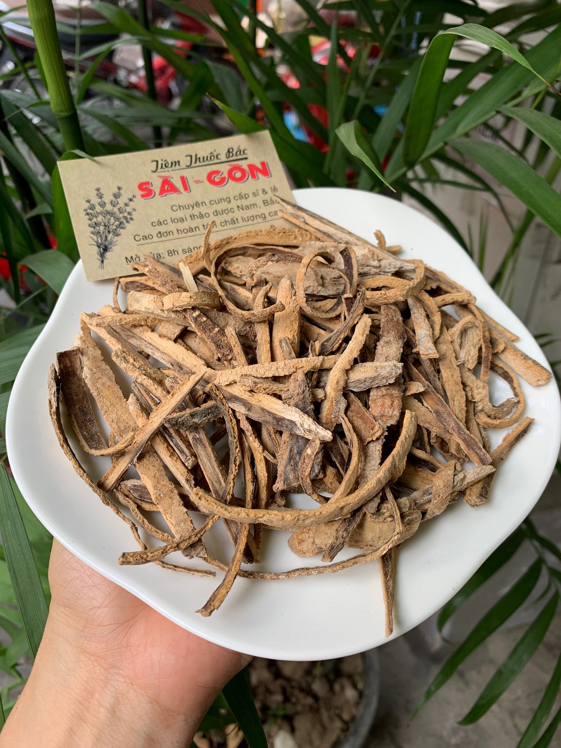 [HCM]BẠCH DƯƠNG BÌ 100GRAM Tiệm Th.uốc Bắc Sài Gòn