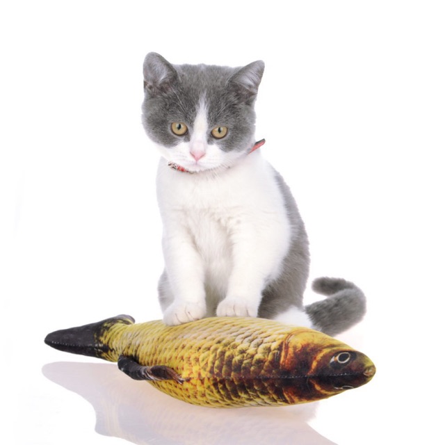 Cá nhồi bông catnip đồ chơi cho mèo