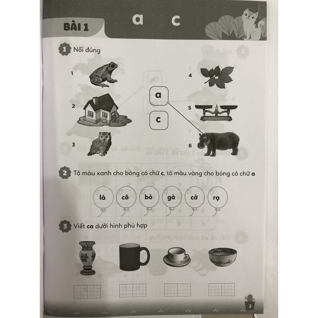 Sách - Thực hành Tiếng Việt 1 - Cánh Diều