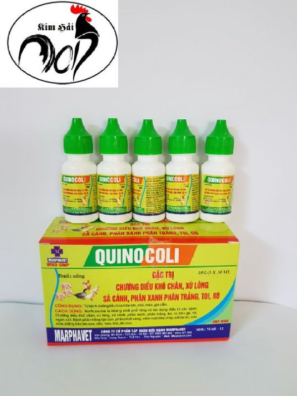 thuốc gà đá-combo 5 lọ quinocoli thuốc nhỏ đ.ặ.c t.r.ị toi rù khô chân sệ cánh,chướng diều,phân xanh phân trắng cho gà con. - quicoli 5