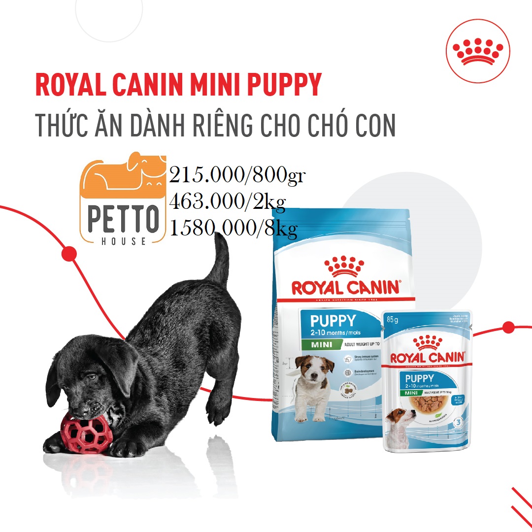 Royal Canin mini puppy 8kg hạt khô thức ăn cho chó con sản xuất tại pháp