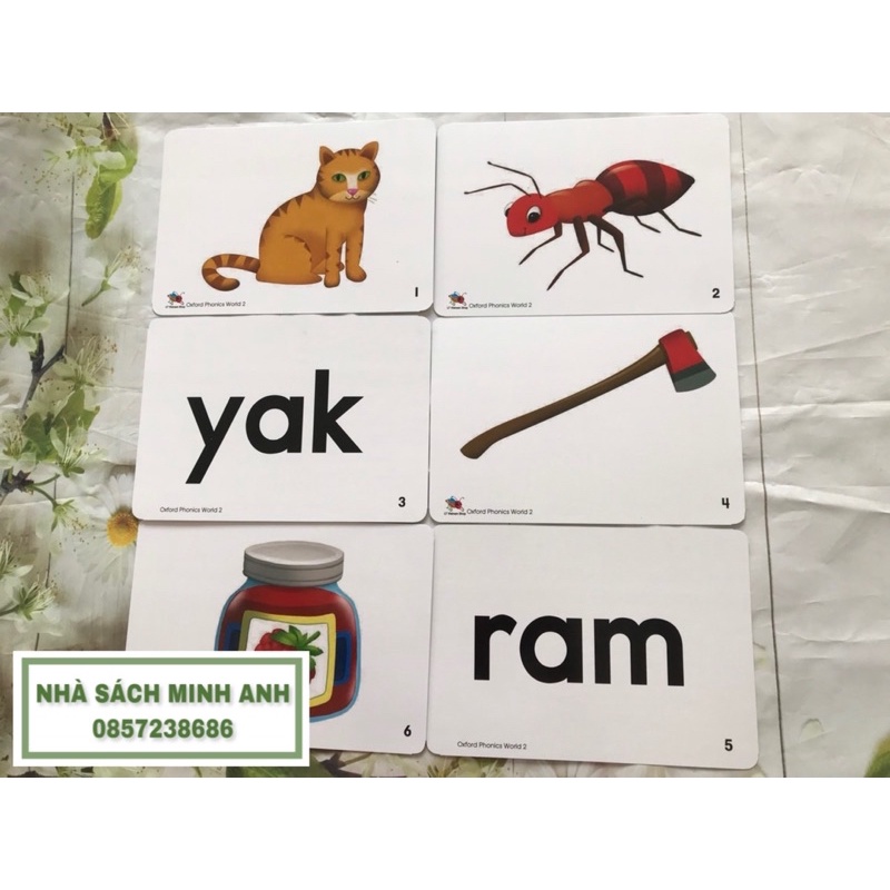 Flashcard OXFORD PHONICS WORLD 2 - 93 thẻ