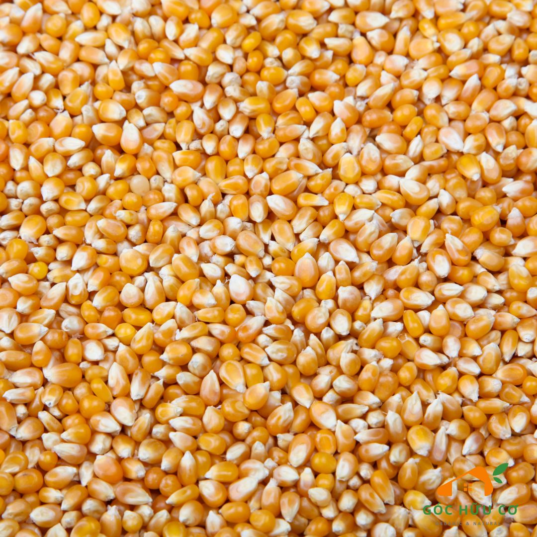 Hạt Bỏng Ngô Vàng Hữu Cơ Sottolestelle Organic Yellow Pop Corn 400g - Hạt Hữu Cơ - Pop Corn - Bỏng Ngô - Góc Hữu Cơ