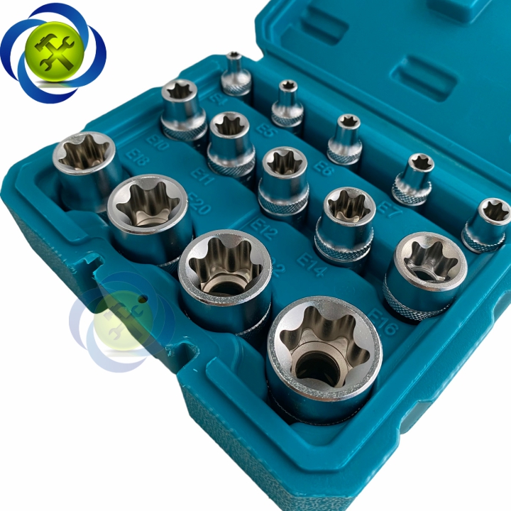 Bộ tuýp sao đầu E 14 chi tiết TOTAL THKTETS0114 (E4 - E24)