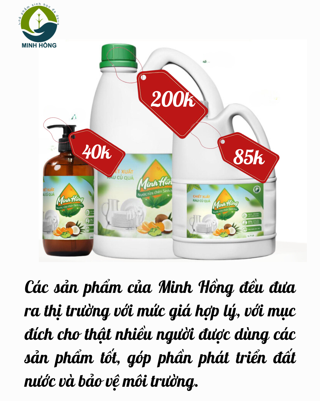 (Minh Hồng) Nước rửa chén sinh học Minh Hồng Can 1,7L và 4,2 lít và 500ml Sạch vết dầu mỡ, không làm khô da, an toàn cho người sử dụng Koshka Home