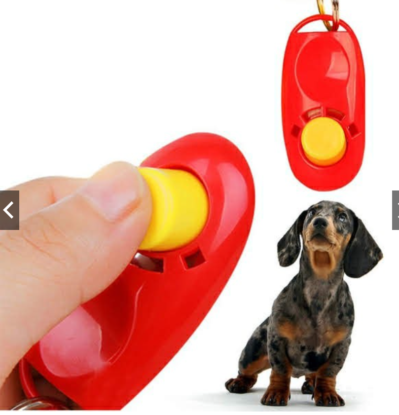 Clicker huấn luyện chó mèo