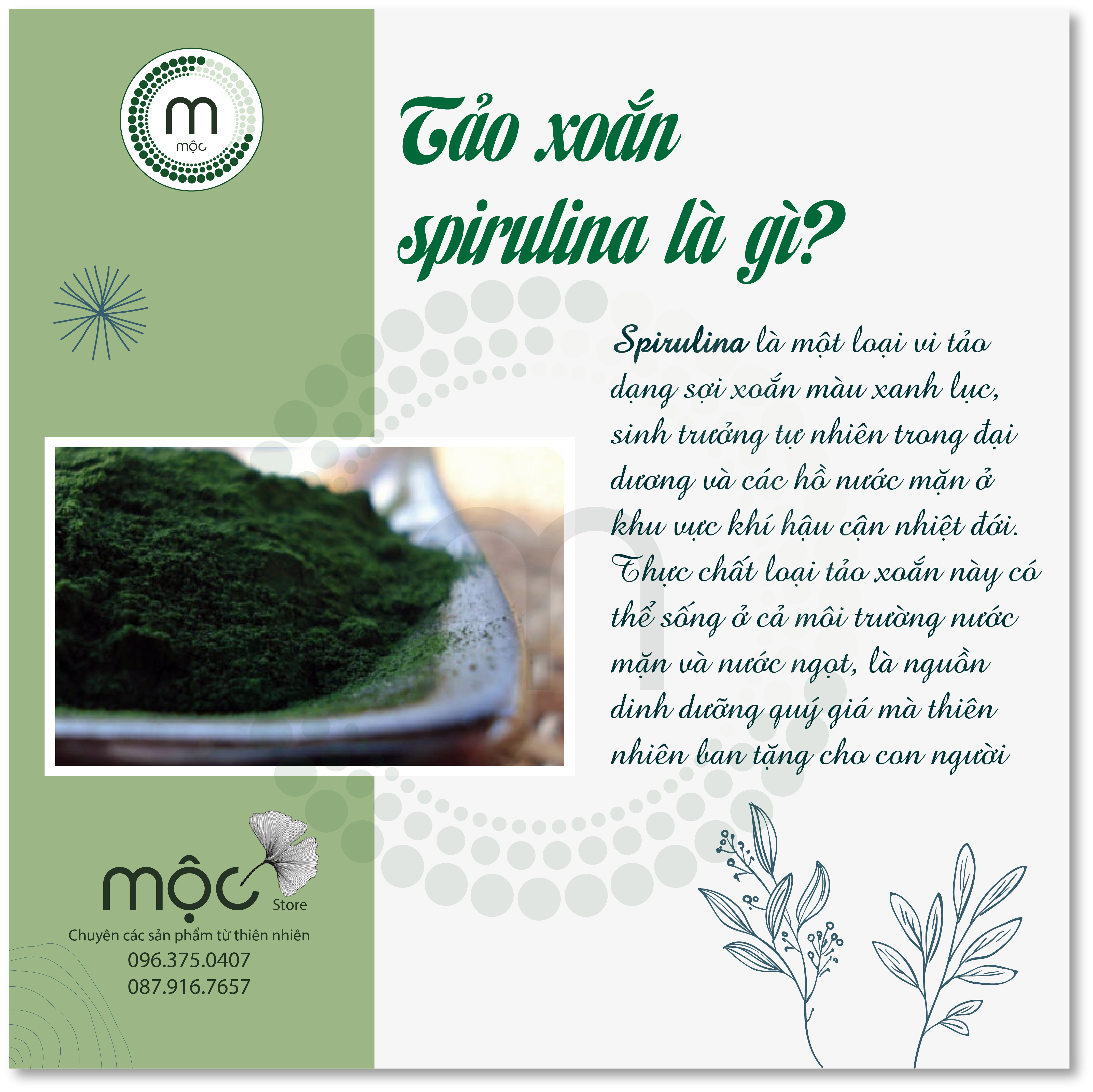 Bột mặt nạ Tảo Xoắn Spirulina Nhật bản MỘC nguyên chất dưỡng ẩm trắng da ngăn ngừa mụn làm mờ nếp nhăn túi 10g, 30g và chai 100ml (70g)