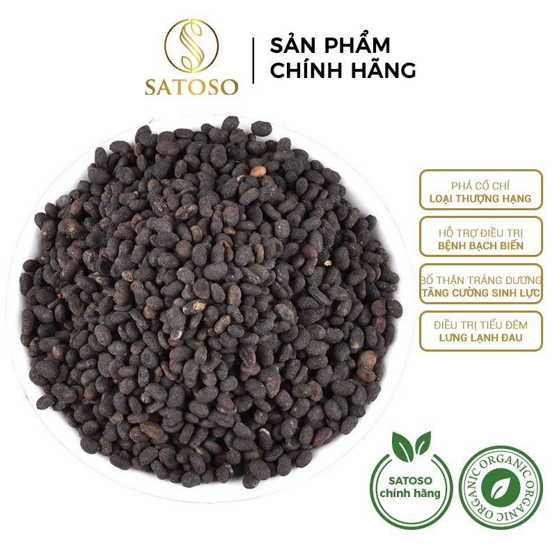 Phá Cố Chỉ khô thượng hạn thương hiệu SATOSO