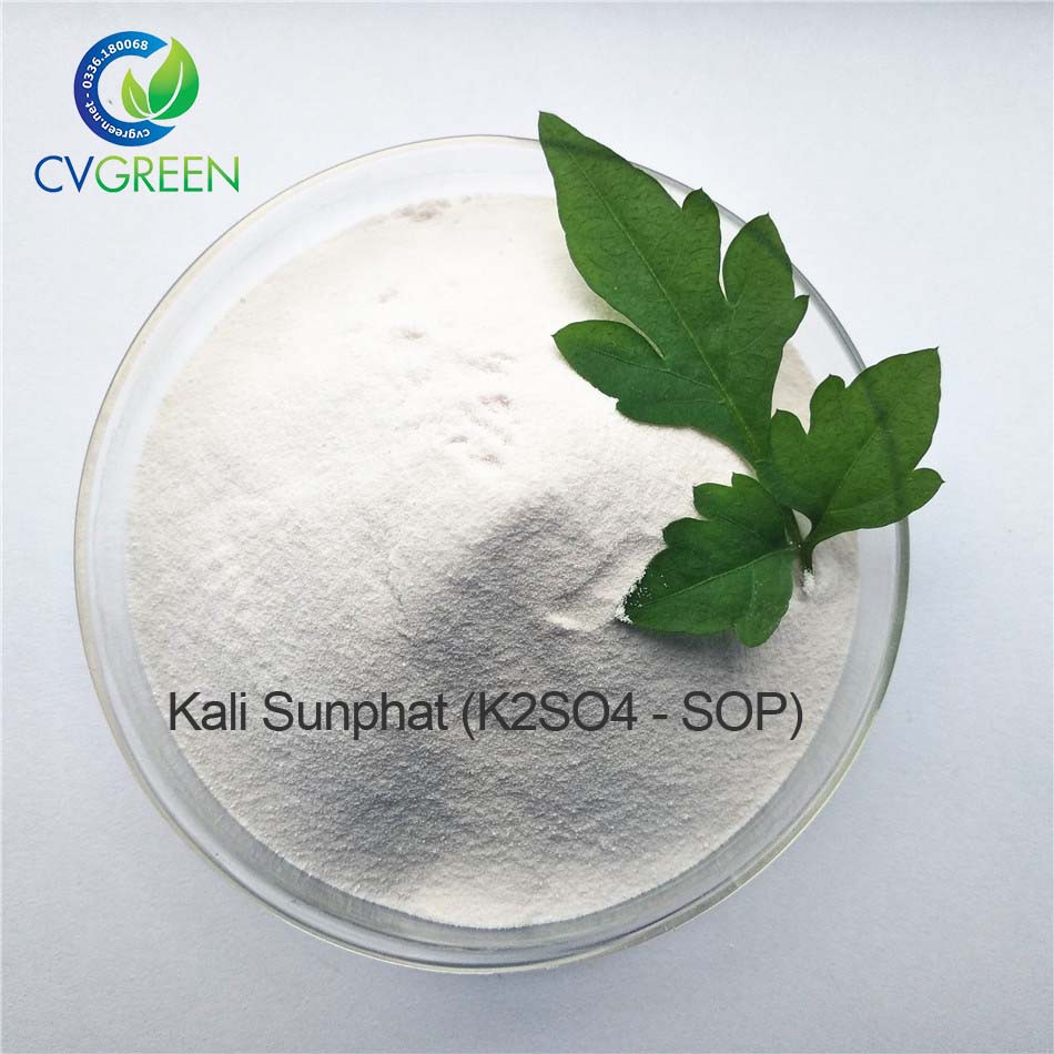 [HCM]Kali Sunphat (K2SO4 - SOP): K2O = 52% S = 18%