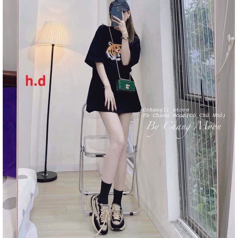 Áo phông hổ 5d hd40