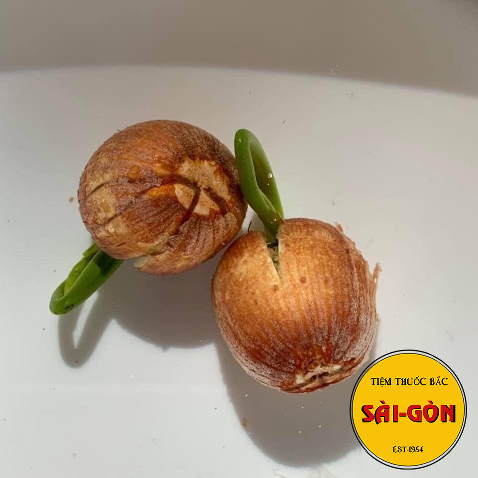 [HCM]HẠT SEN CÒN VỎ 500GRAM