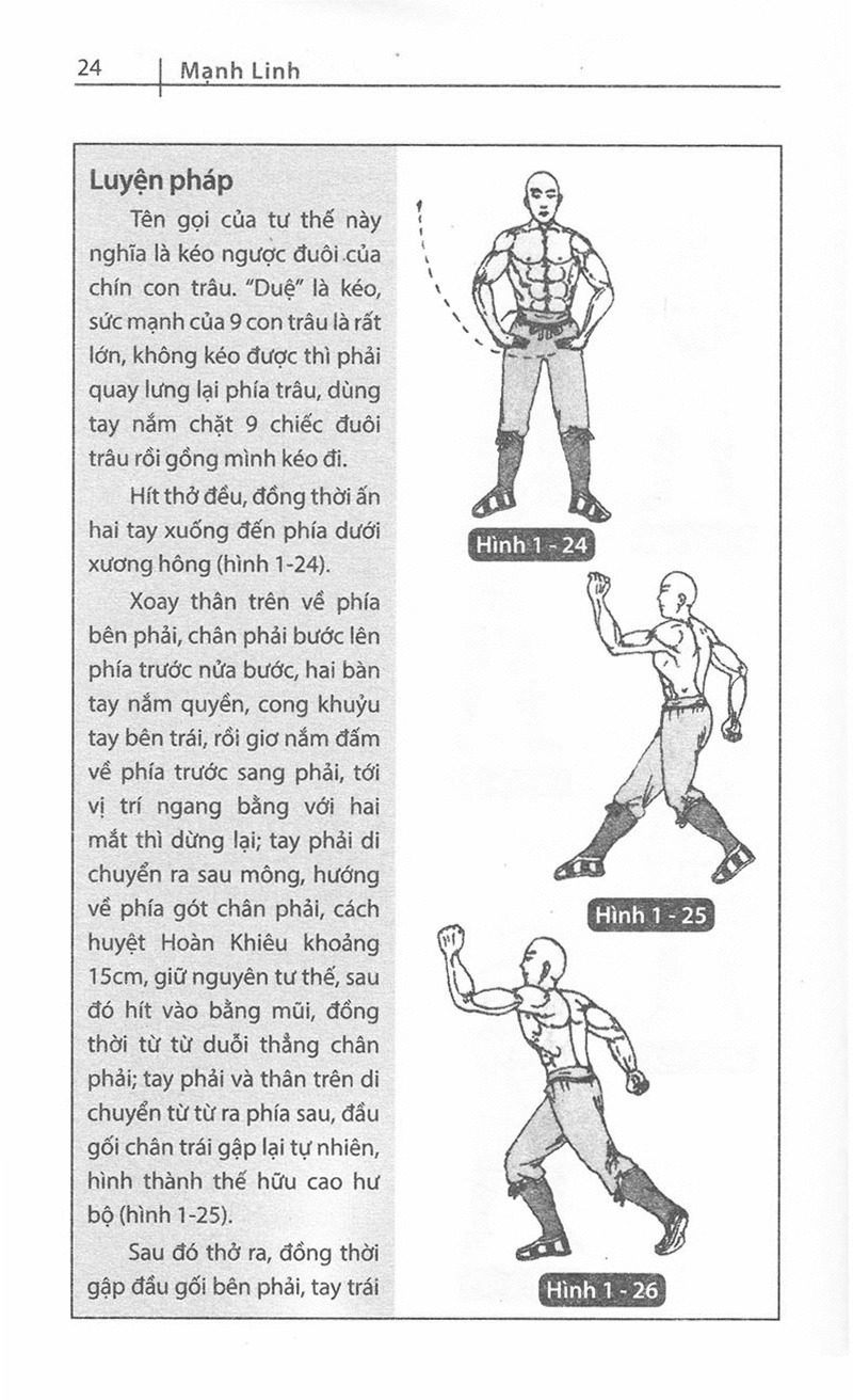 Sách Dịch Cân Kinh Đạt Ma (Mạnh Linh)