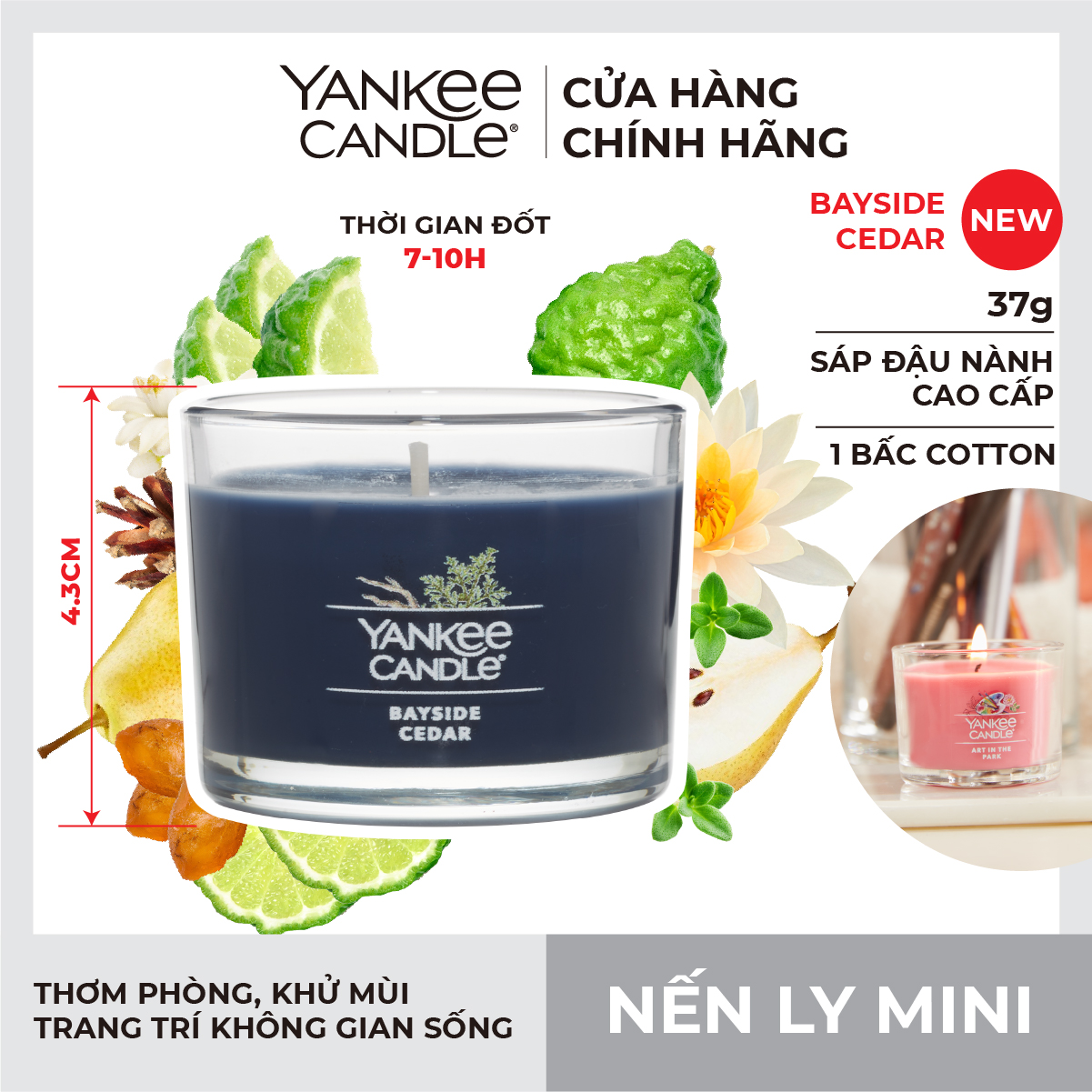 Nến ly mini Yankee Candle - Bayside Cedar