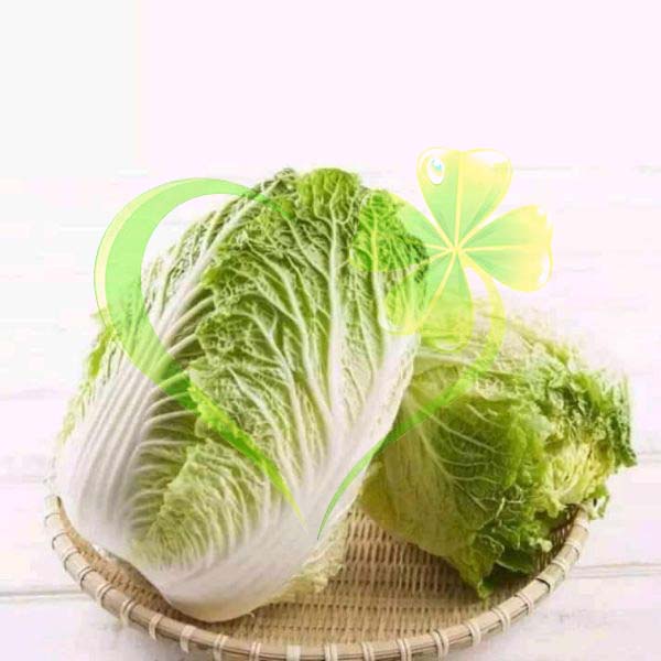 HẠT CẢI THẢO F1 GOKI 70 - GÓI 1 GRAM
