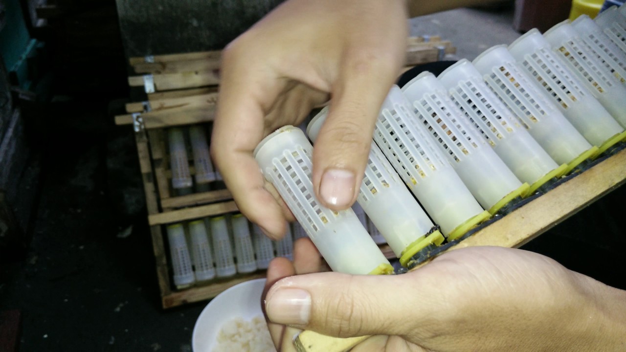 Rọ nhốt ong chúa bằng nhựa