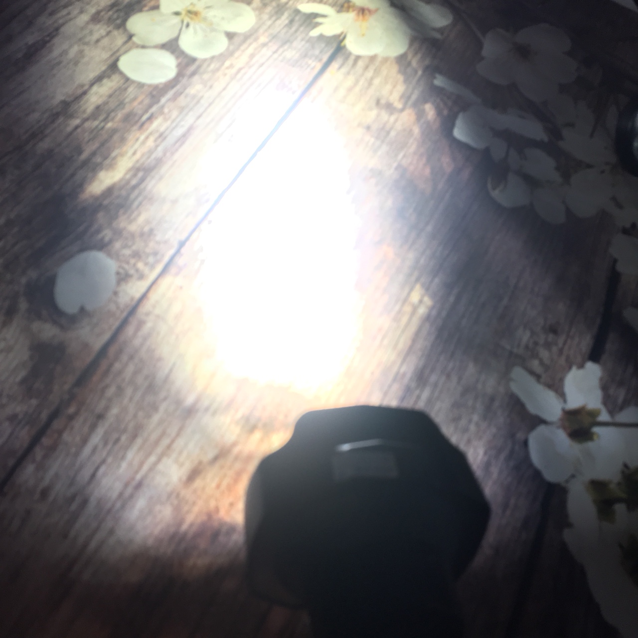 Đèn led trợ sáng L5 9 bóng led cho xe máy