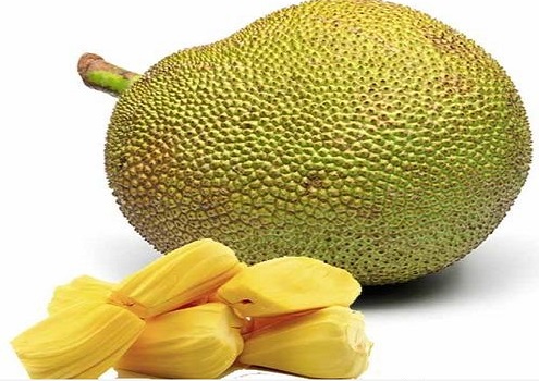 Mít sấy khô giòn tan gói 500g