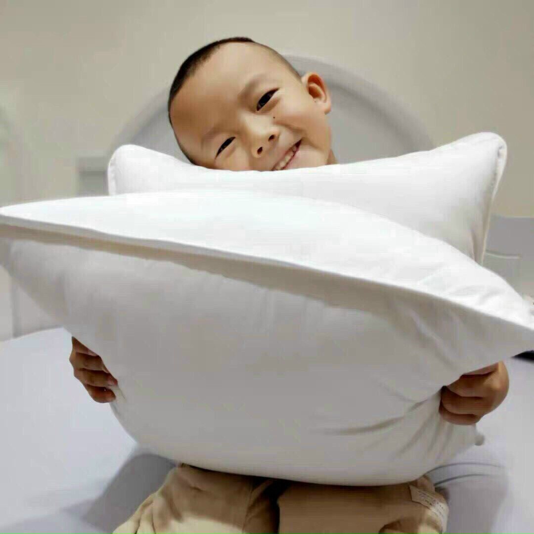 RUỘT GỐI LÔNG VŨ IKEA - 1 CHIẾC